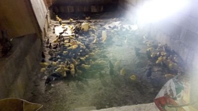 infinixnote2's profile picture. 