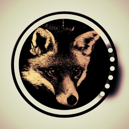 theo35540's profile picture. 