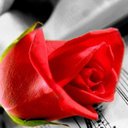 عبد الرحمن بن عوف (@1975mira) Twitter