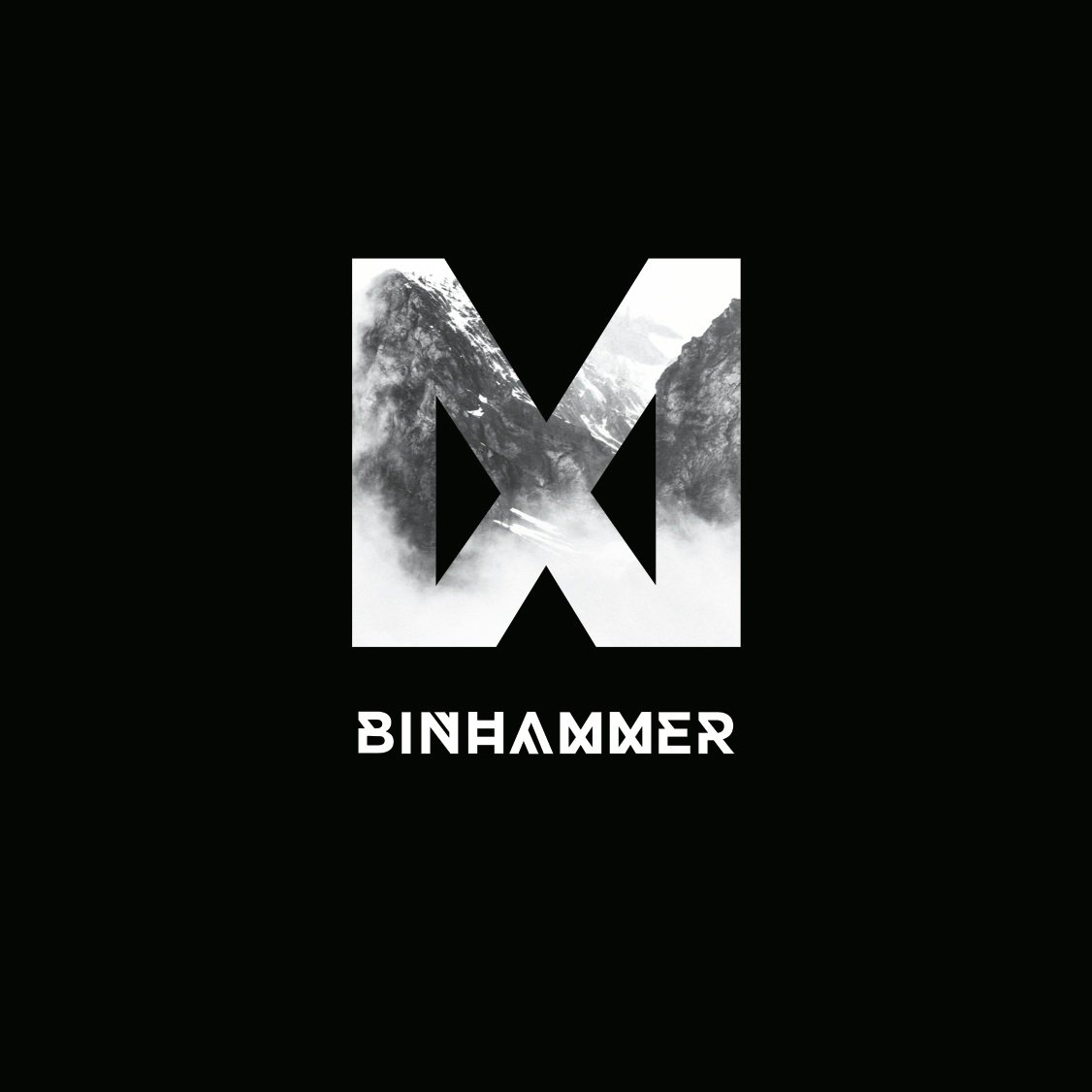 Binhammer