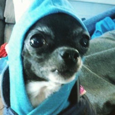 Impact_Clann's profile picture. 