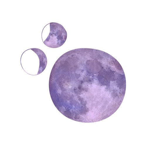 tierradelunas's profile picture. Festival