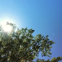 GlobalTrees@Morton (@mortongtcp) 's Twitter Profile Photo GlobalTrees@Morton (@mortongtcp) 's Twitter Profile Photo