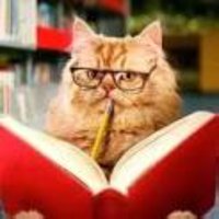 Dana Brierton (@dana_brierton) Twitter profile photo