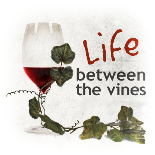 Owner of Life Between the Vines Podcast