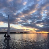 MCS Sailing (@mcssailing) 's Twitter Profile