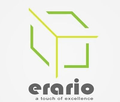 lead business developer erariointernational limited