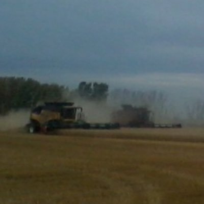 chiefs_19's profile picture. 