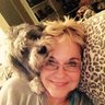 ddshack3's profile picture. Wife, grandmother, dog lover, Christian always have been always will be! Trump is my President🙏🇺🇸