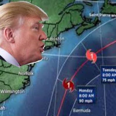 pafortrump's profile picture. Patriot