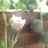 ryospica's profile image