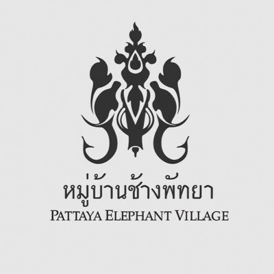 Pattaya Elephant Village หมู่บ้านช้างพัทยา Jungle in the city, Elephant Sanctuary