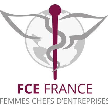 Les Femmes Chefs d'#Entreprises de France. Un #réseau . Une passion commune, L'ESPRIT D'ENTREPRENDRE.