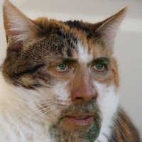 Joey Hobbit (@joeyhobbit) 's Twitter Profile