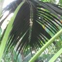 Willy Alexander - @willintolisten - Twitter