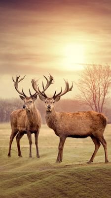 DanielTrestian's profile picture. 