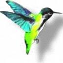 Faith McNulty - @2chirp_me - Twitter