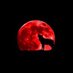 Desert Wolf (@desert_wolf_505) Twitter profile photo Desert Wolf (@desert_wolf_505) Twitter profile photo