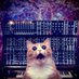 Sine Qua Non - WMUH (@sqnwmuh) Twitter profile photo Sine Qua Non - WMUH (@sqnwmuh) Twitter profile photo