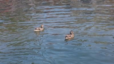 lavalamp171's profile picture. 