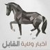 أخبار ولاية القابل (@alqabilnews) Twitter profile photo أخبار ولاية القابل (@alqabilnews) Twitter profile photo