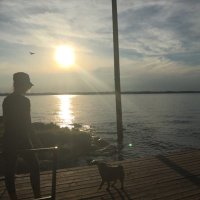jimmy (@jim_vandamme) 's Twitter Profile