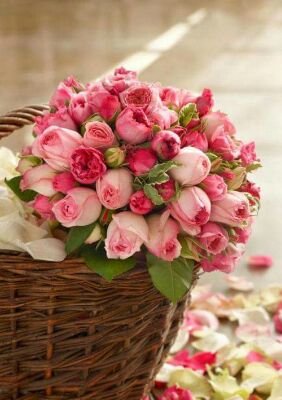 I love and cherish the Lord. I live in southeastern Kentucky. the Bible says to lay your treasure up in heaven. I have two with me here mom and dad.