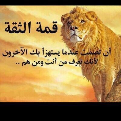 اما تجي خوه على العز والطيب ❗️والا المصالح طيب راسي رفضها ❗️الذيب يقنب جـوع ما يأكل الذيب ❗️والا الضباع ضباع تاكل بعضها