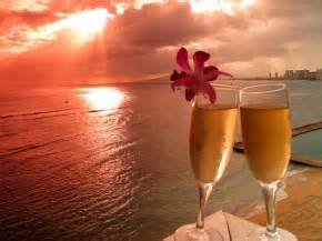 LisaNovak12's profile picture. 