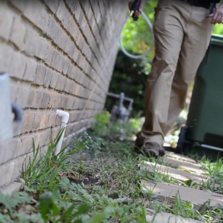 SFPestControl's profile picture. We are a local pest control company in Sioux Falls, SD located at 3100 S. 6th Ave Sioux Falls, SD 57105. Call us anytime at 605-789-4700 to schedule a visit.