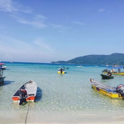 nv_alg's profile picture. 