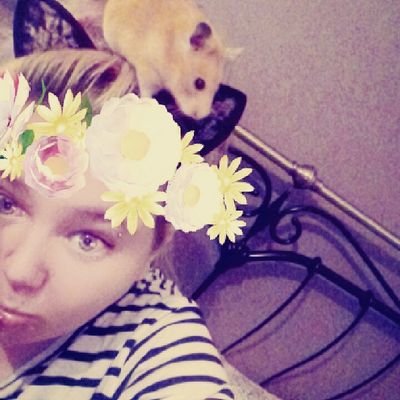 hollykinch's profile picture. Let's chat https://t.co/qZc8kIrN7G