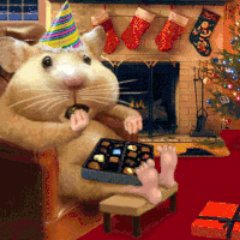 grumpytreeplant's profile picture. We make funky t-shirts and other stuff