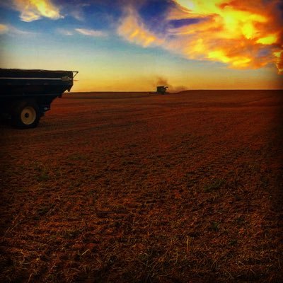 logan_jensen44's profile picture. College Football