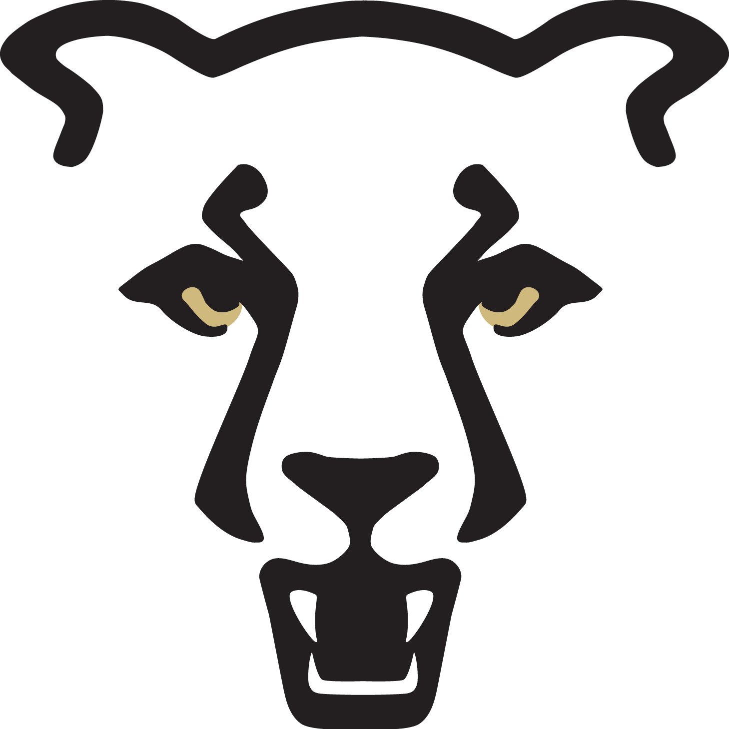 UCCS Baseball Profile
