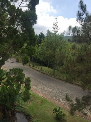 mohamed1980u's profile picture. 