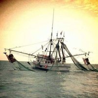 Tarvin_Seafood (@tarvin_seafood) 's Twitter Profile Photo