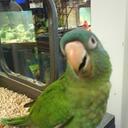 Patrick Stoddard - @omgitsaliv55 - Twitter