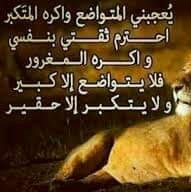 bb1597516's profile picture. 