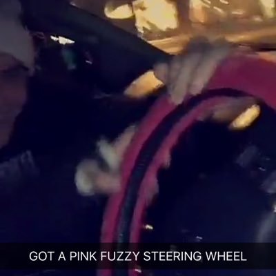 I am the pink fuzzy steering wheel in gray and ethans truck, their hands are so warm and I can't wait for the roadies 🚛 E follows