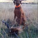 Aaron Dipzinski - @Adipc - Twitter