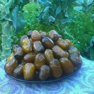 الباقية