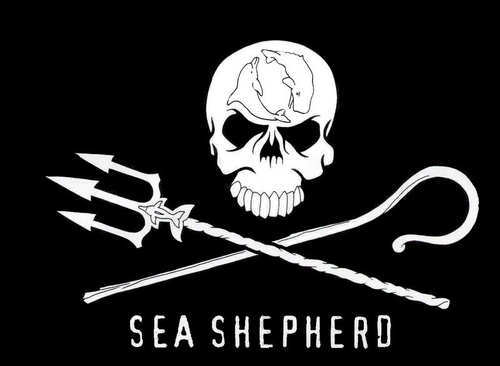 Sea Shepherd Adelaide.