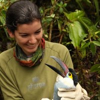 Natalia Ocampo-Peñuela, PhD(@birdmapper) 's Twitter Profile Photo