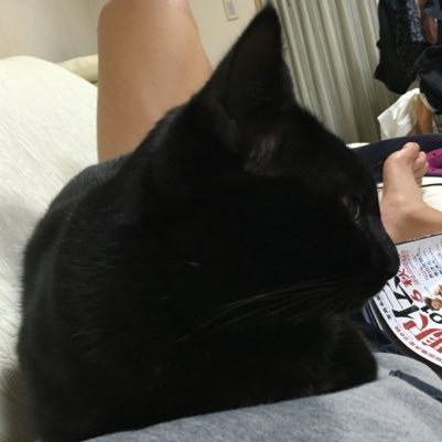 zakimyaa's profile picture. 川越高校/東工大