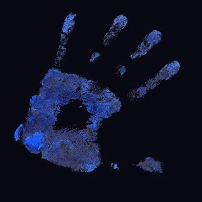 D_3991's profile picture. 