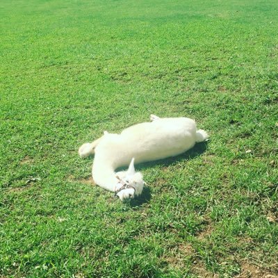 153_chi's profile picture. 