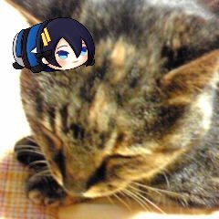 takasi4200's profile picture. 兎虎、ぬら孫、小狐三日、ヴィク勇、鬼滅の刃、吸死のロナドラ、転スラ、ゲ謎にハマり中です。別のＨＮでＢＬの電子小説も書いています。興味を持たれた方は、お気軽にフォローを♪https://t.co/dZDlae4GjN他にハンドメイド にも夢中になってます🥰