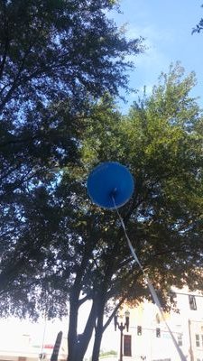 sunshinedaisy16's profile picture. wife,mother,nurse,friend