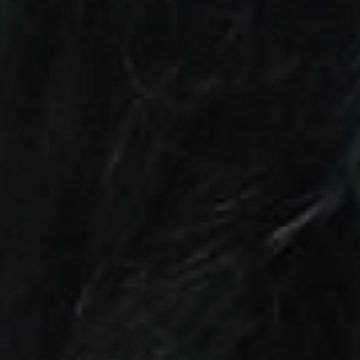 迪倫.🌚